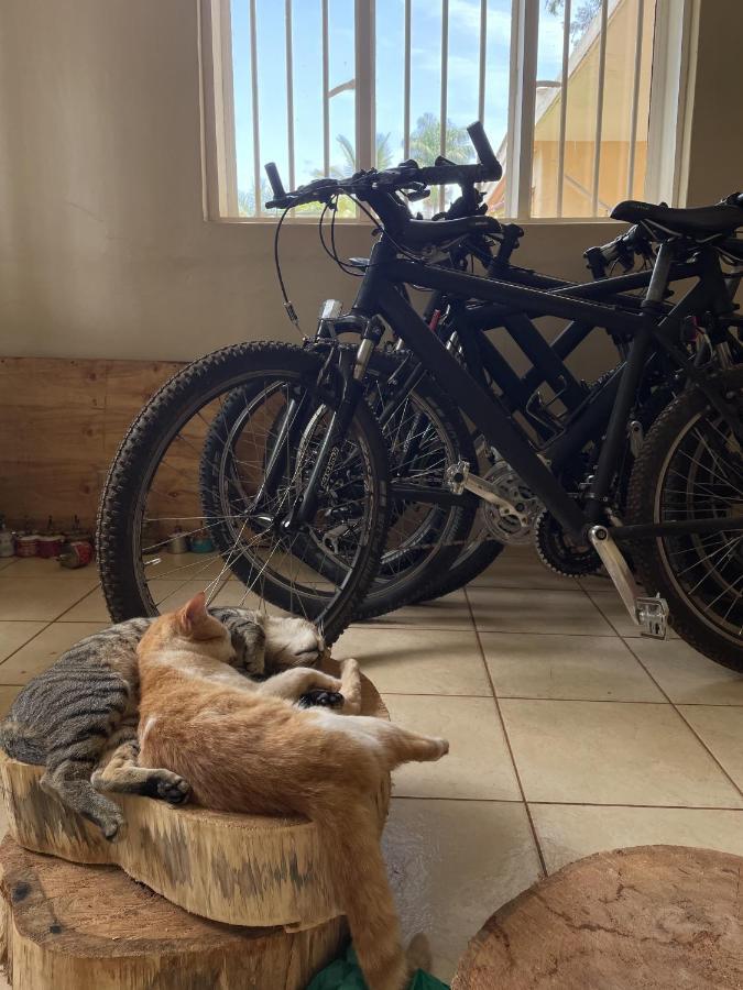 Jinja Backpackers Vandrarhem Exteriör bild