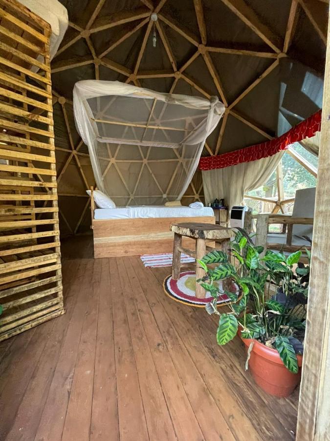 Jinja Backpackers Vandrarhem Exteriör bild
