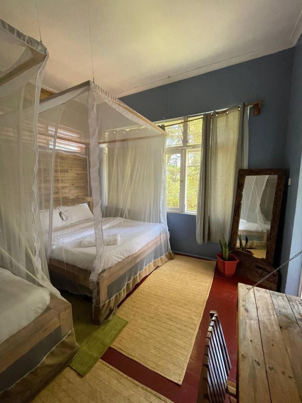 Jinja Backpackers Vandrarhem Rum bild